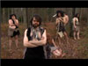 The Tribe
